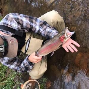 Meet your Posher, Jared